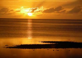 Gulf Coast